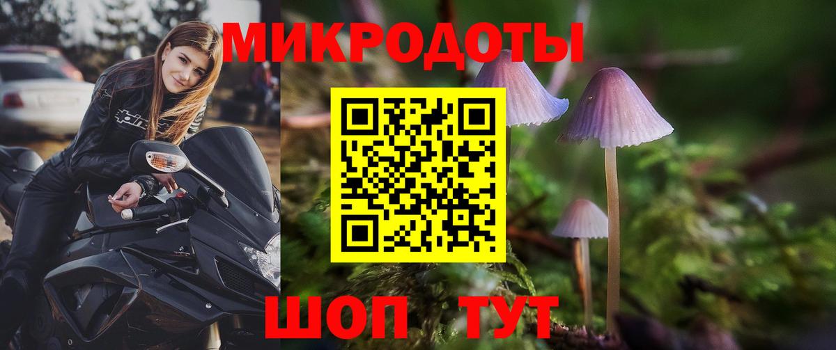 Галлюциногенные грибы прущие грибы  Вход с VPN  Баксан 