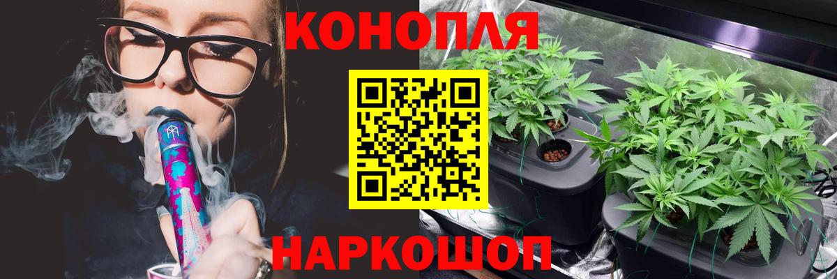 Конопля ГИДРОПОН  Каннабис THC 21%  Баксан  Марихуана OG Kush  Вход с VPN 